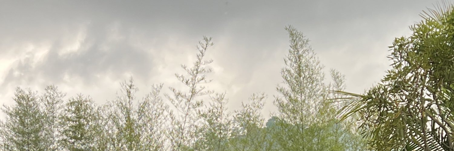 never_mind_us's profile banner image