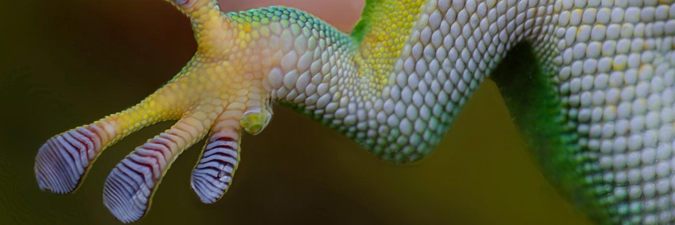 WouterNeirinck's profile banner image