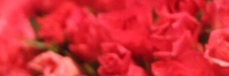 wijitrapanda's profile banner image