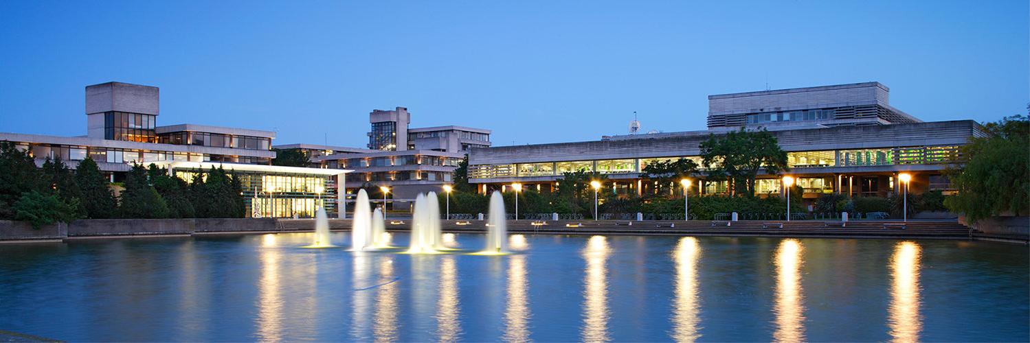 UCD Pain Centre banner