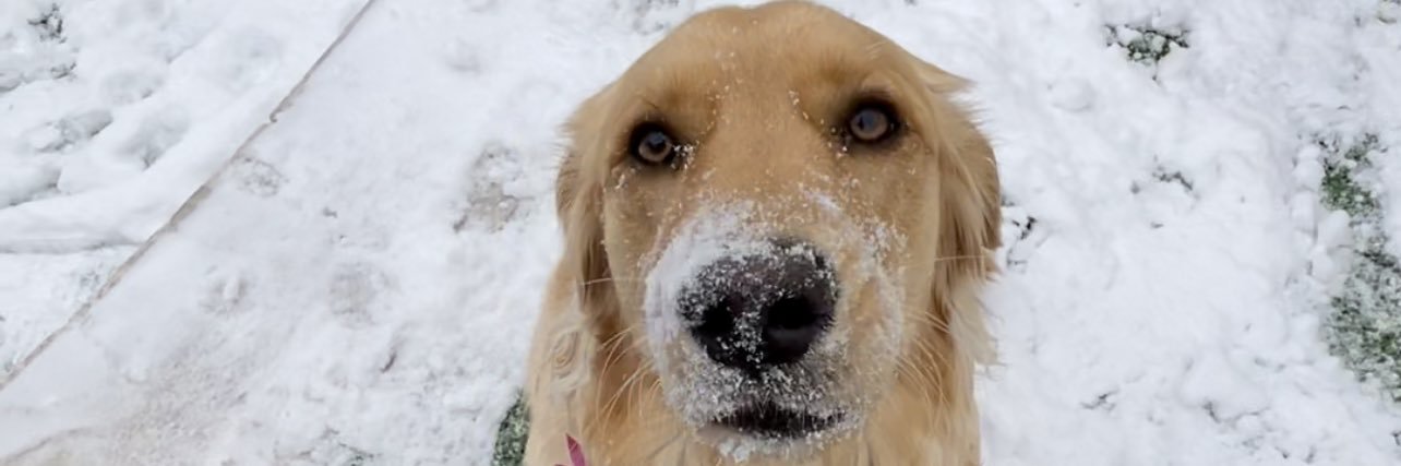 Jonathan Ortiz banner