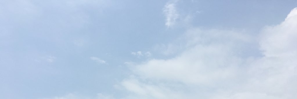 nomadiccreature's profile banner image