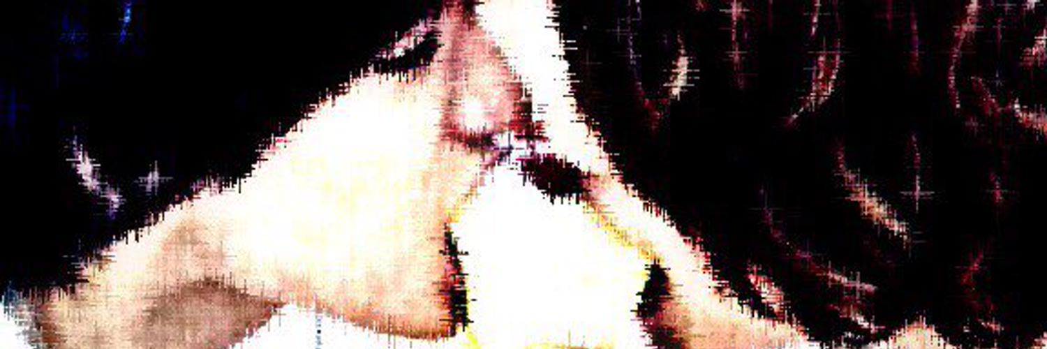 fsllx's profile banner image