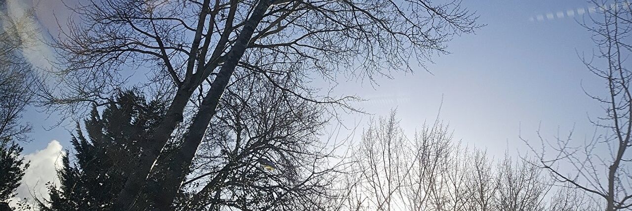 teabreezem's profile banner image