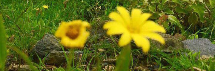 Prof_Alhamad's profile banner image