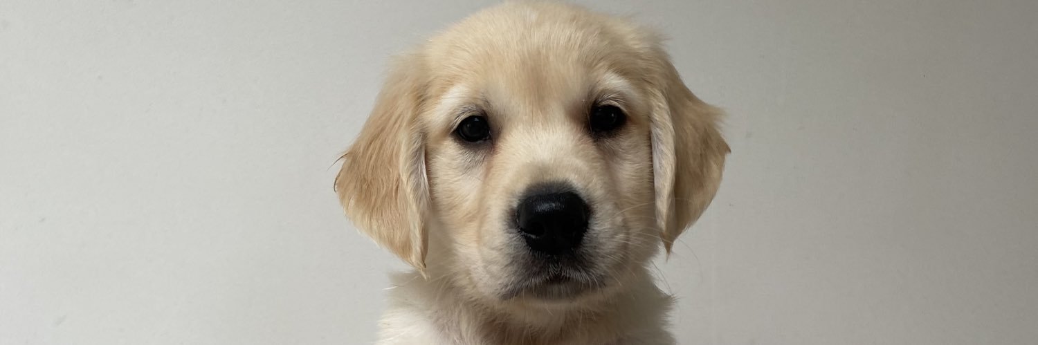 Janadepaepe's profile banner image