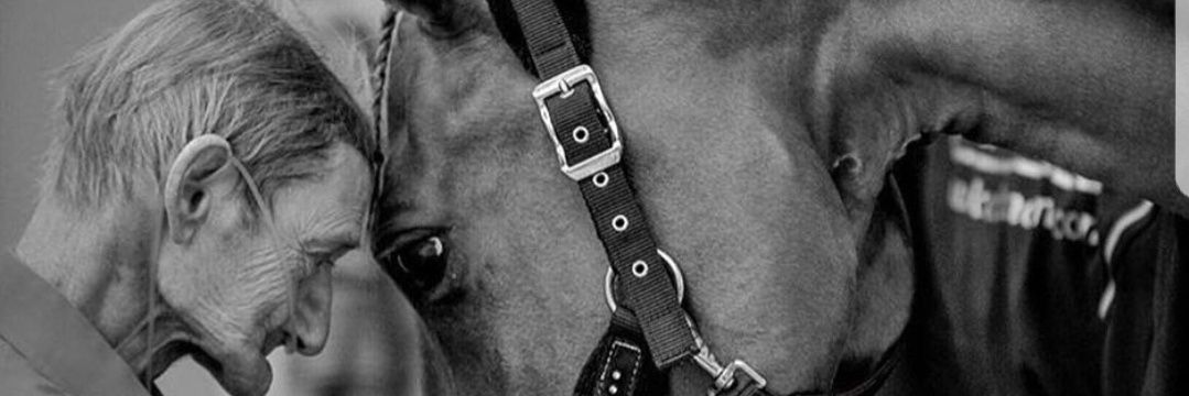 Bo_jowes's profile banner image