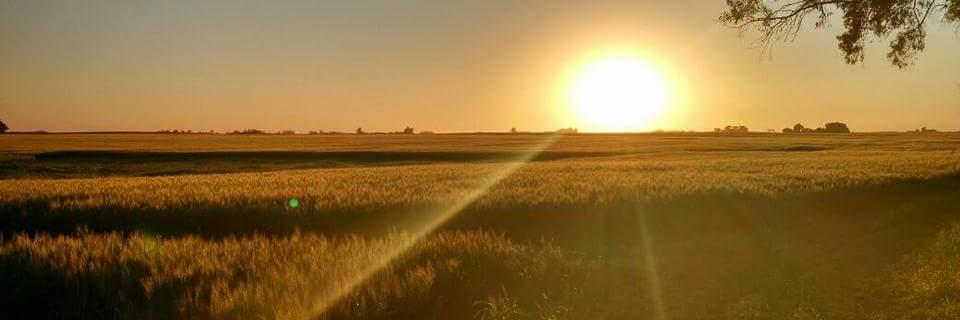 Pedro Vallarino banner