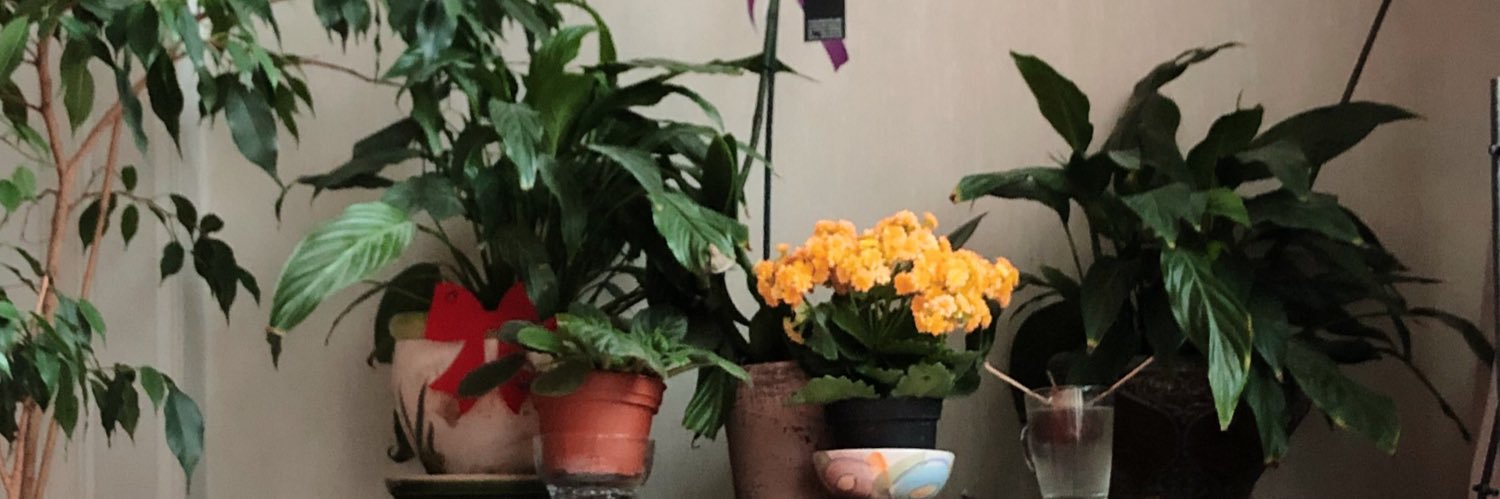 eda erdem banner