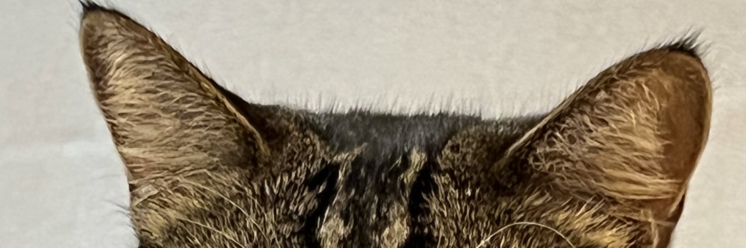 RlYUZOU's profile banner image