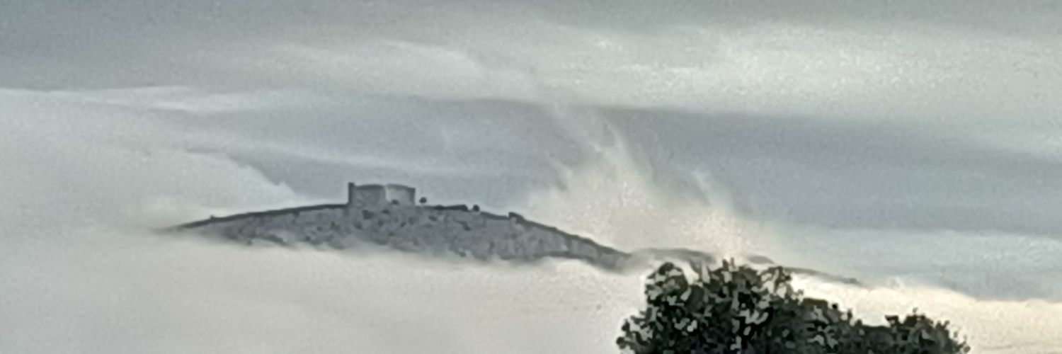 fgagullo's profile banner image