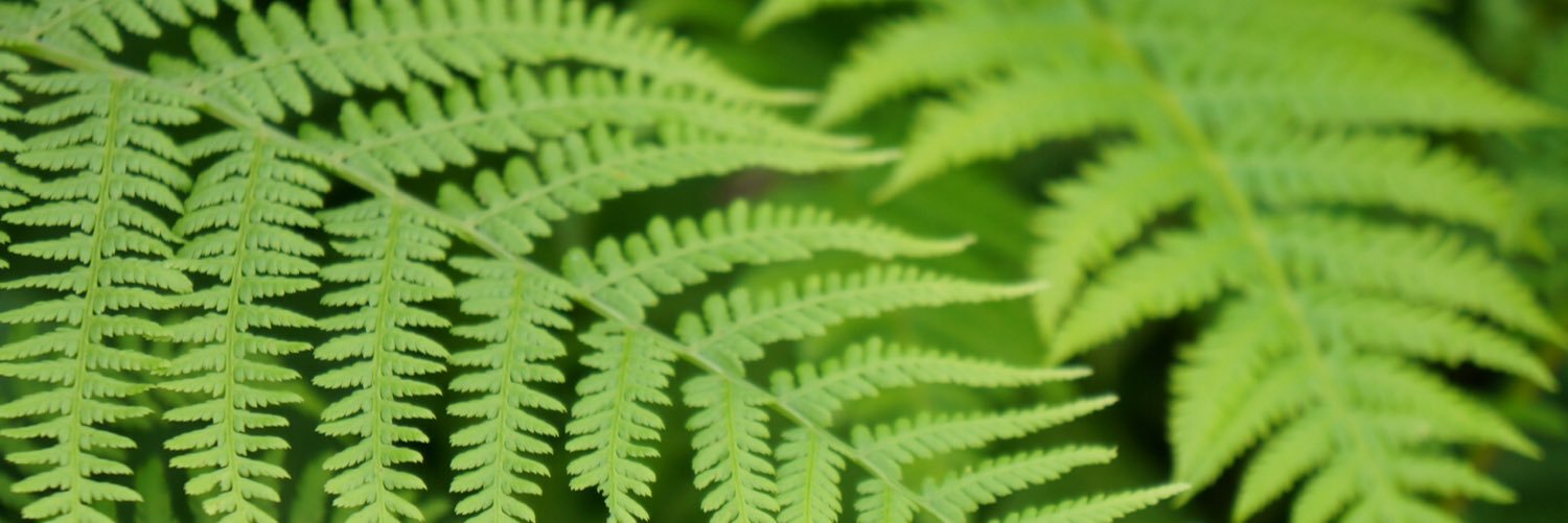 OLGAYYILMAZ's profile banner image