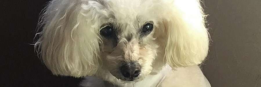 aboutgrah's profile banner image