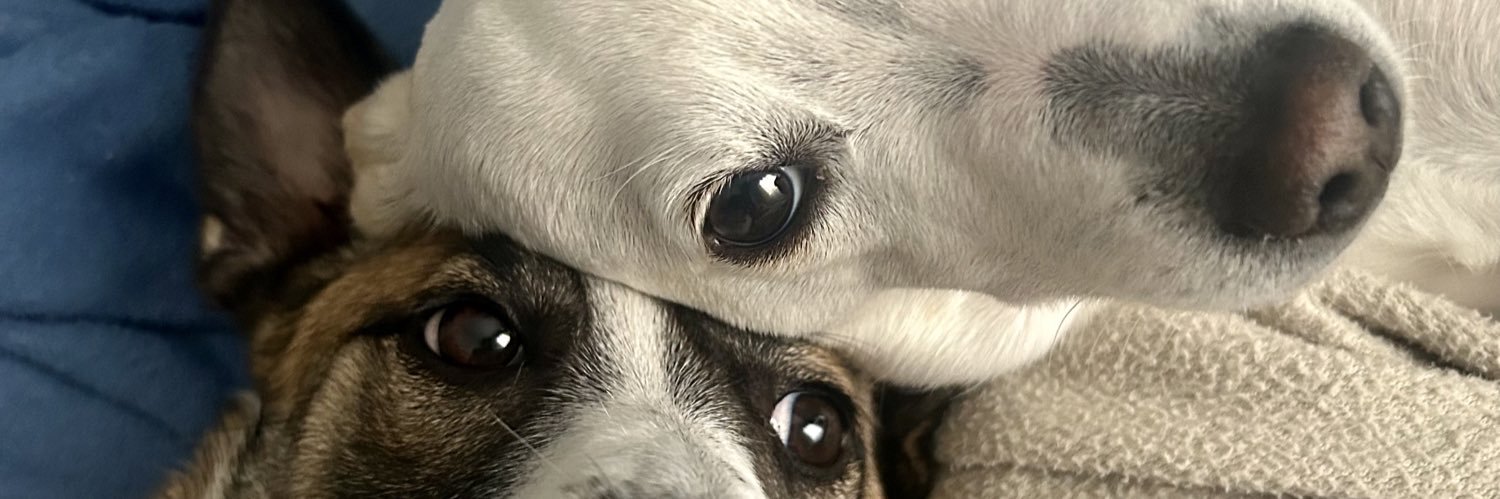 xofanagrama's profile banner image