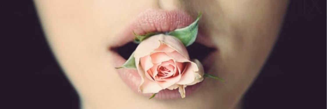 butterfly51169's profile banner image