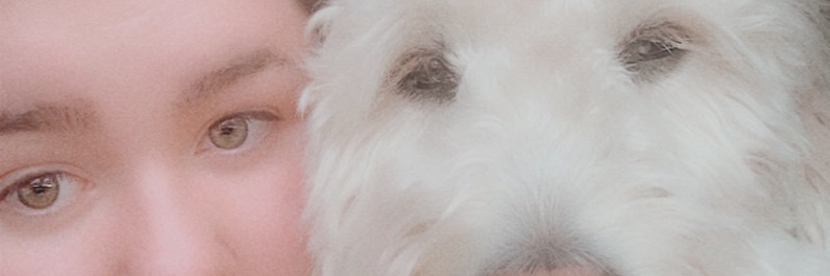 cathyrawrr's profile banner image