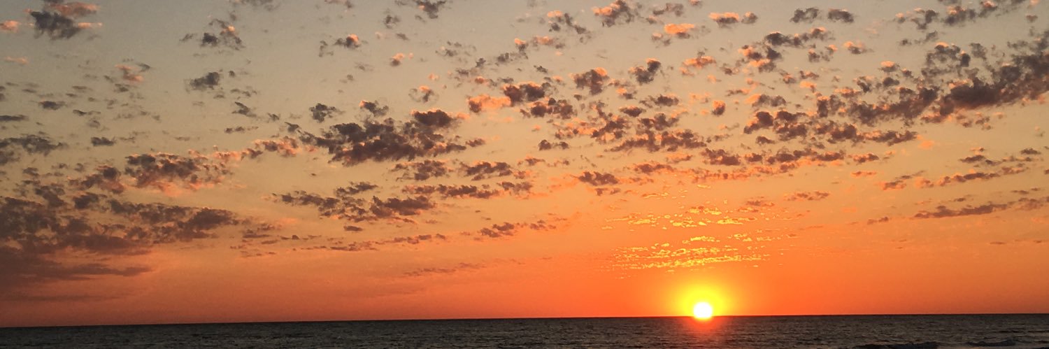 Kelly Applegate banner