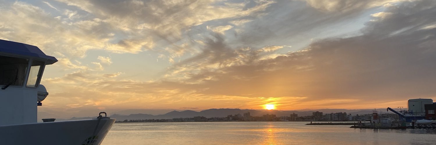 𝘈𝘯𝘢's banner