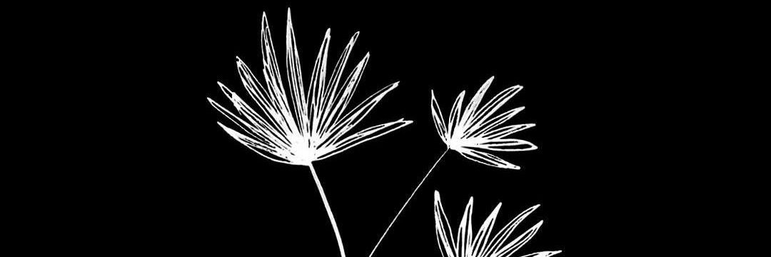MartaGonzalezMi's profile banner image