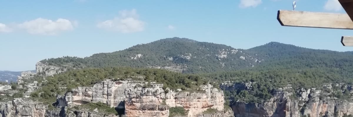mglmeana's profile banner image