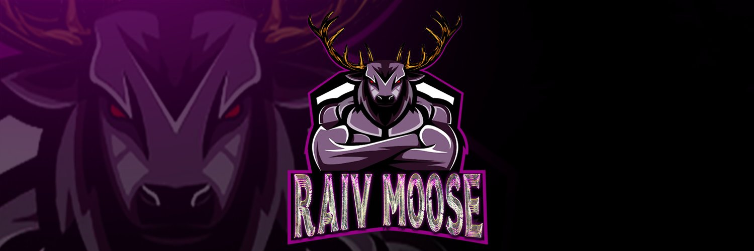 RaivMoose's profile banner image