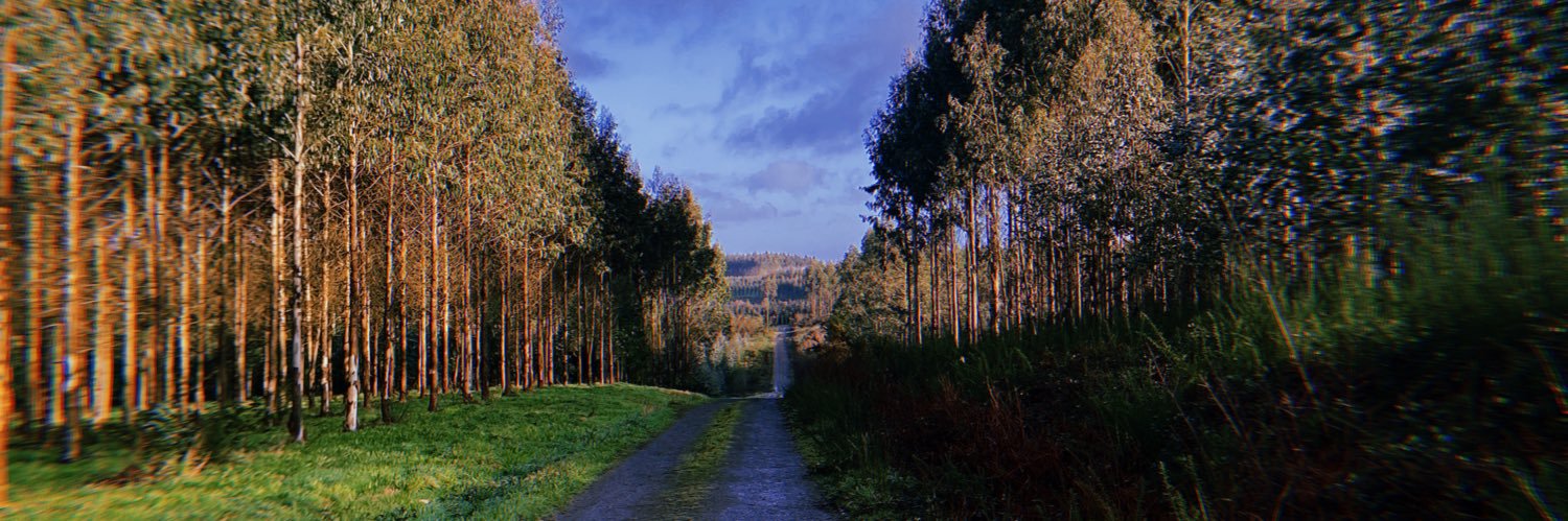 andreabarmis's profile banner image