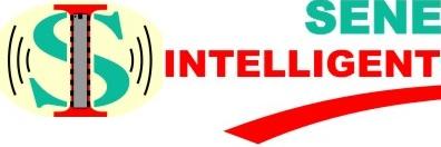 Senergy Intellution (@senergyIntellun) / Posts / X