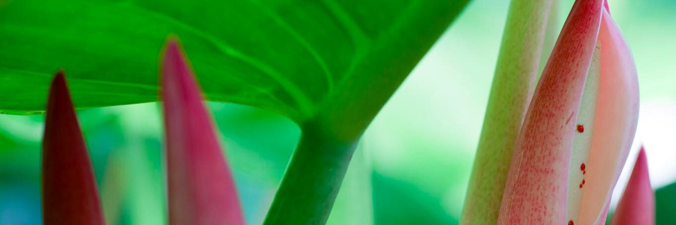 heartlogic's profile banner image