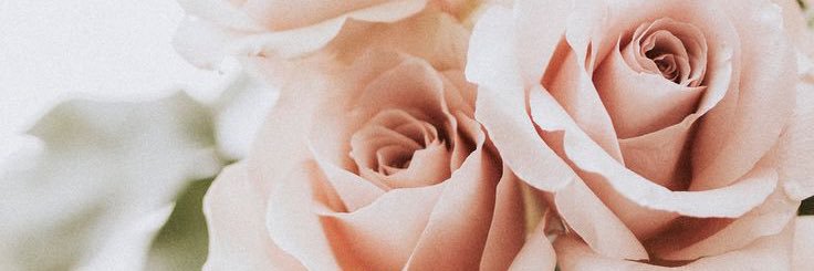 SerenityInWords's profile banner image