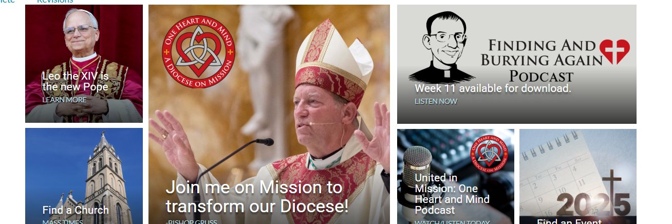 Diocese of Saginaw banner