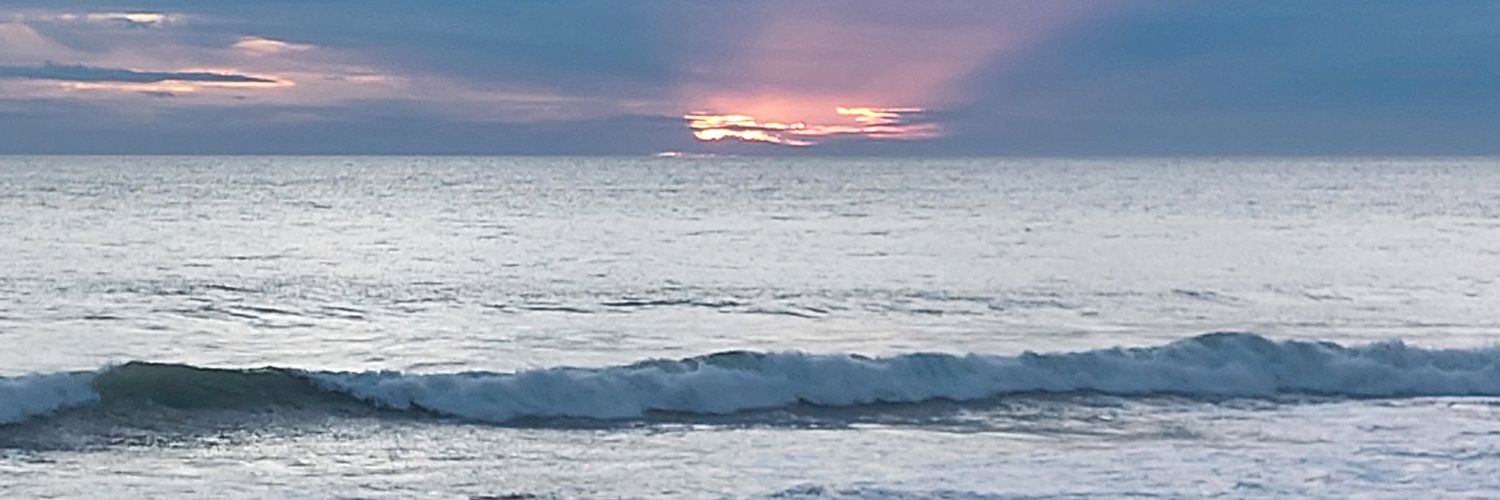 ole_suhr's profile banner image