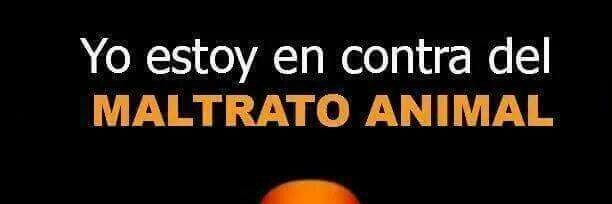 jorge banner