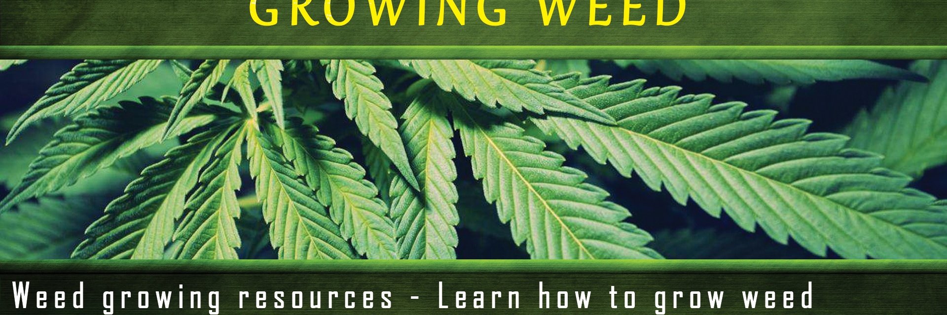 WeedGrowing's profile banner image