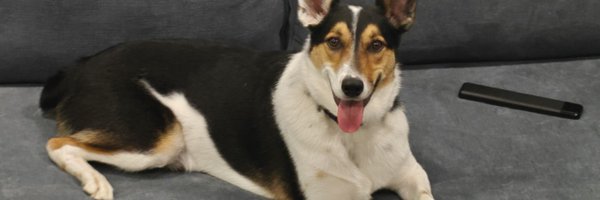 sudonotpseudo Profile Banner