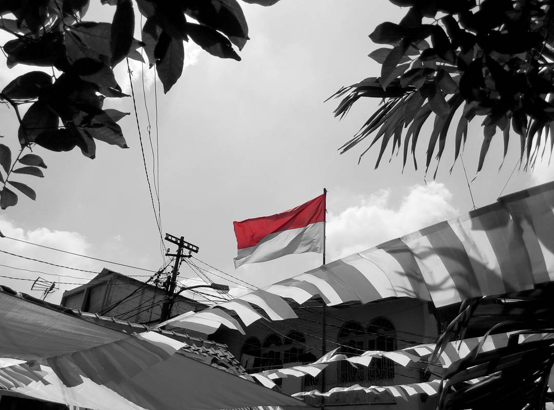 paisalaf's profile banner image