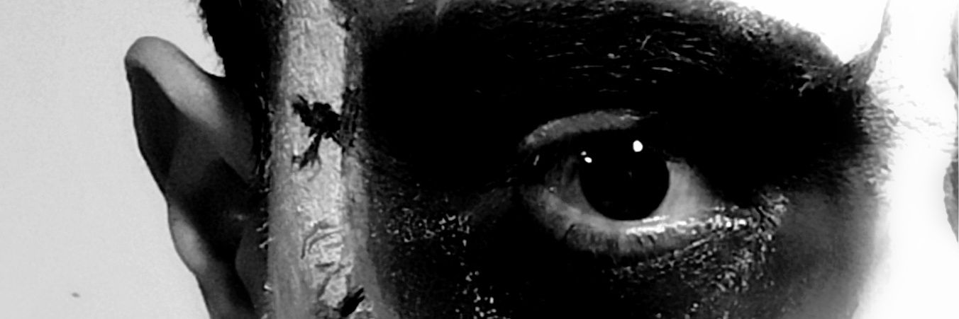 El Profeta del Nopal banner
