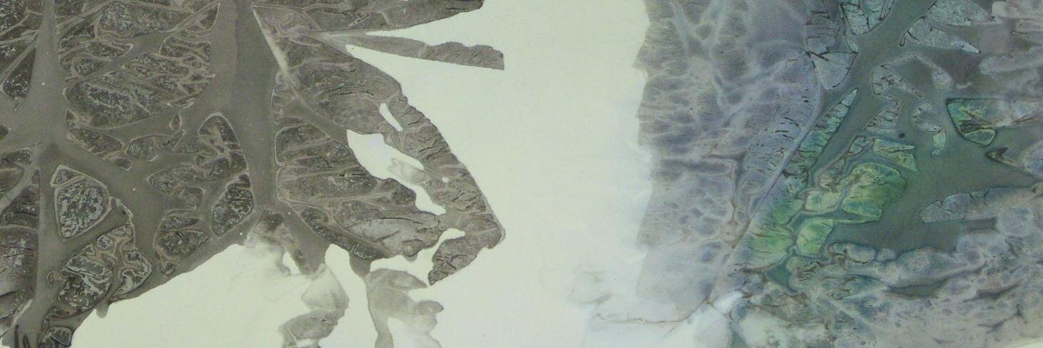 LisaFitzGerald_'s profile banner image