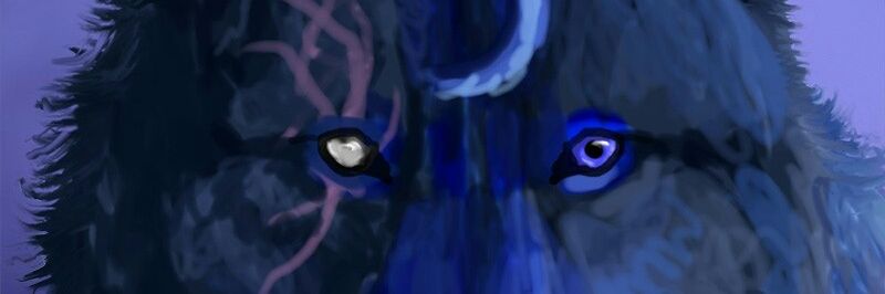 camille fcn banner