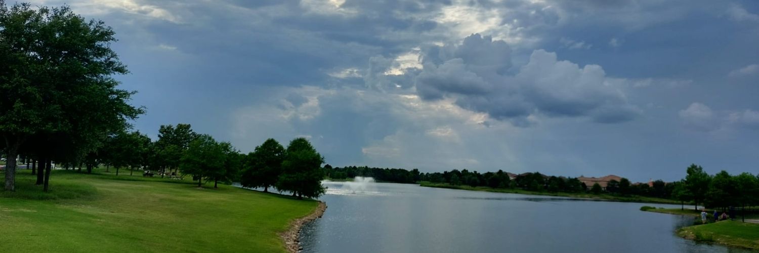 Bhadresh16's profile banner image