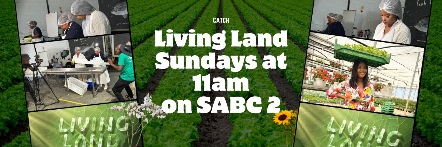 Living Land banner