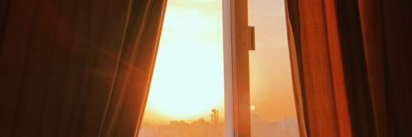 lentoicortel Profile Banner