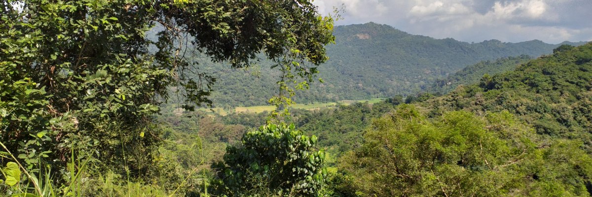 chandimafree's profile banner image