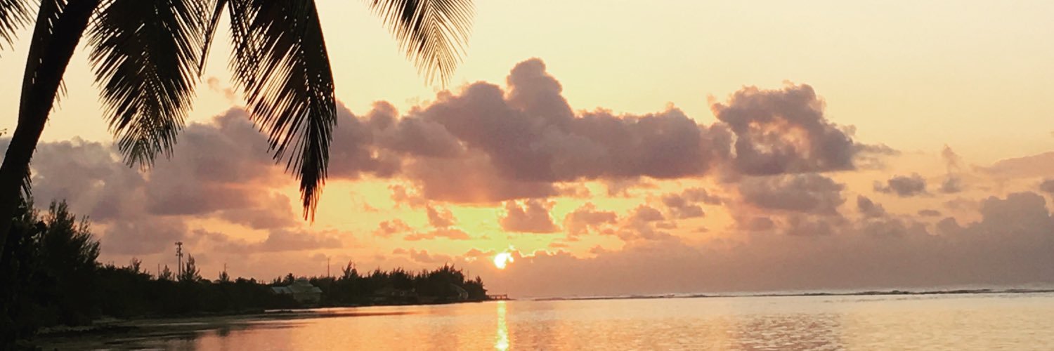 svas028's profile banner image
