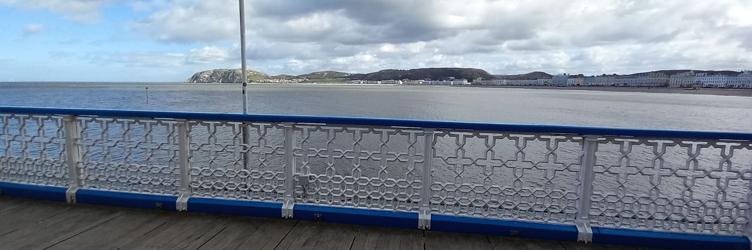 Kayleigh Samson banner