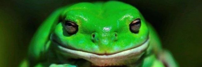 go find yourself or whatever banner