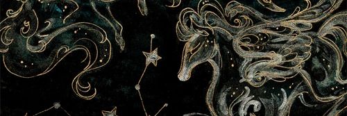 Scorpiatty's profile banner image