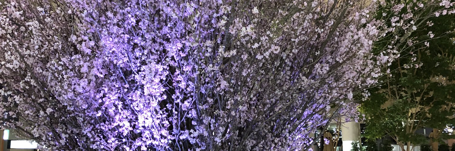 Japan41World's profile banner image