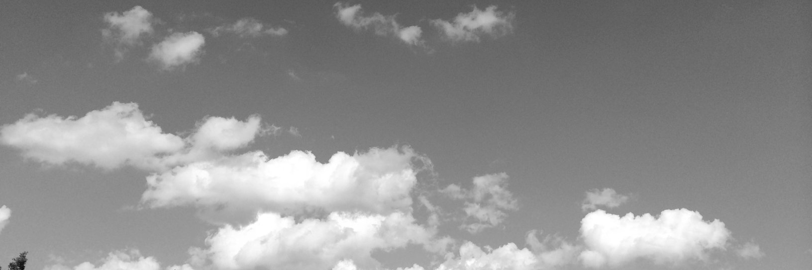 _chriscberg's profile banner image