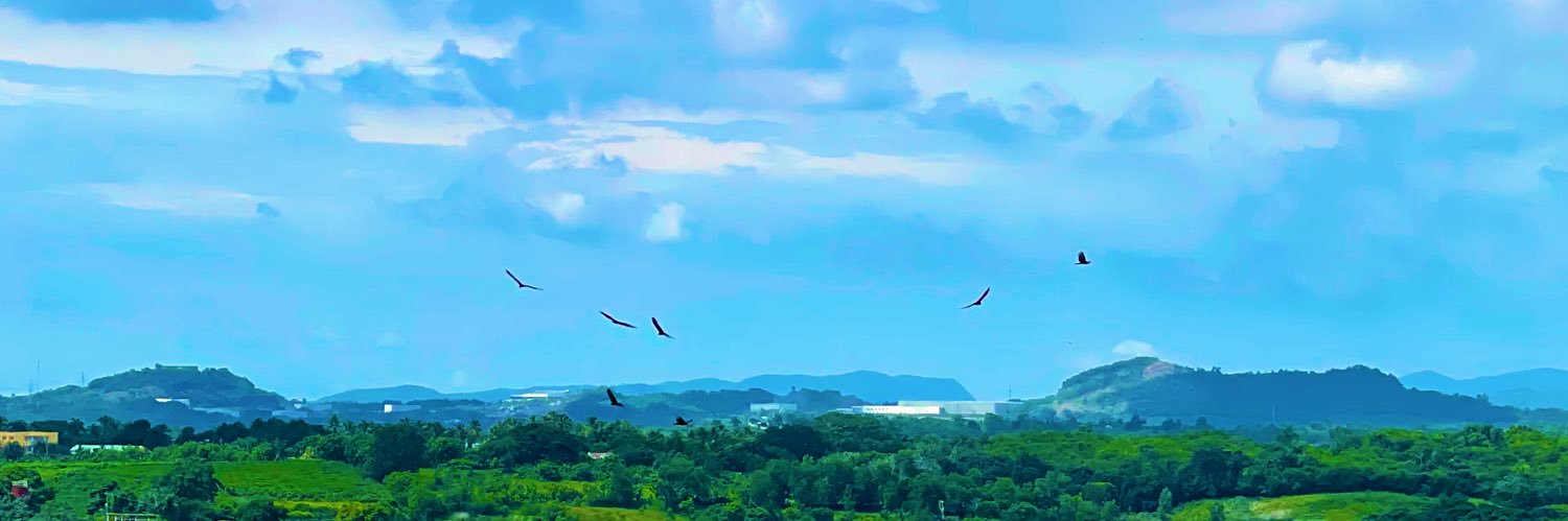 WilbertTejada's profile banner image