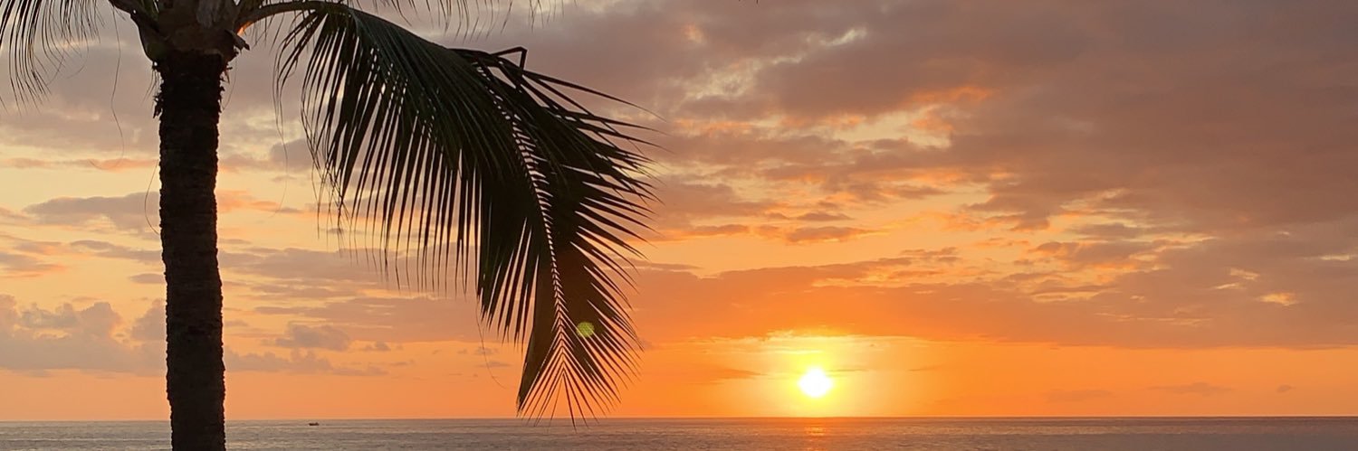 Stephanie Chin banner